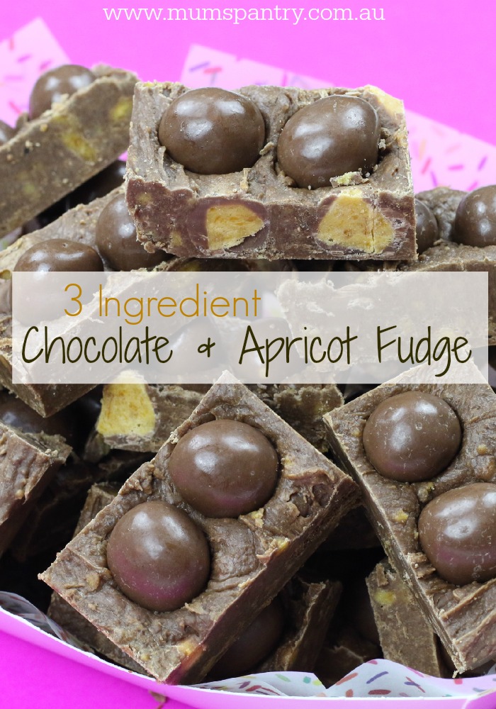 3 ingredient chocolate and apricot fudge