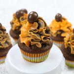 Chocolate And Apricot Cupcakes