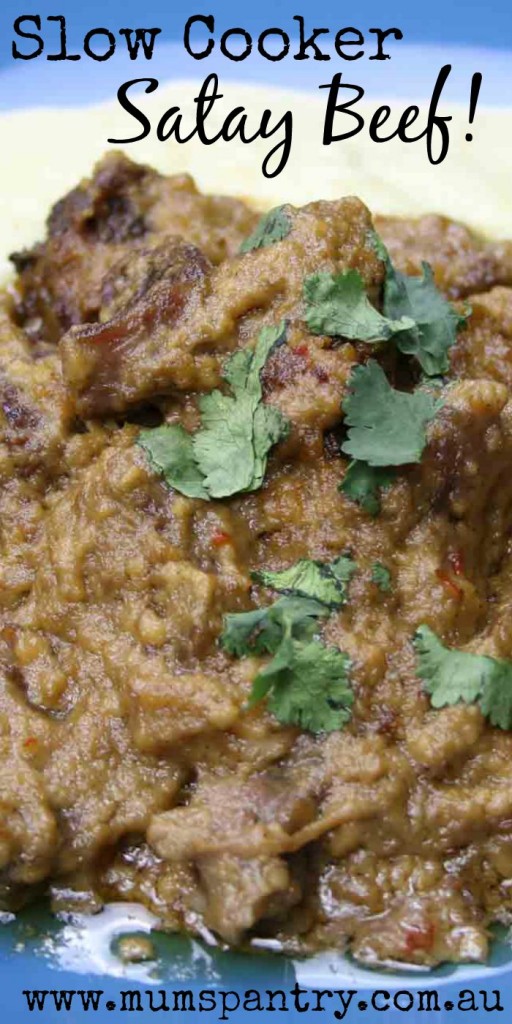 Slow Cooker Satay Beef Mum's Pantry