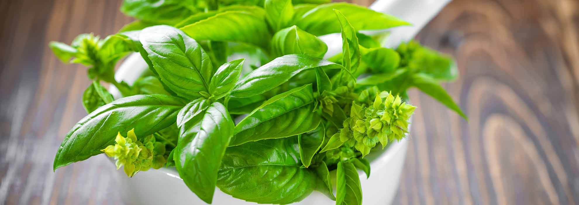 basil