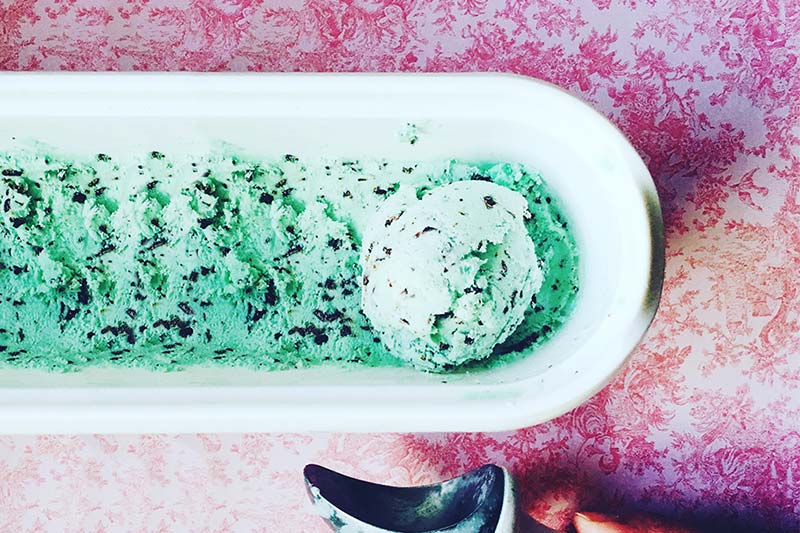 mint chocolate chip ice cream