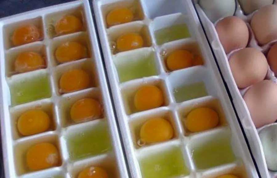 egg-ice-cube-tray